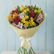 Букет цветов из:  Альстромерии #REPLACE_PRED# Черноисточинске