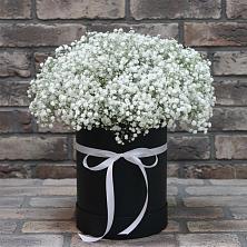 Цветочная композиция из Гипсофила в шляпной коробке в Черноисточинске