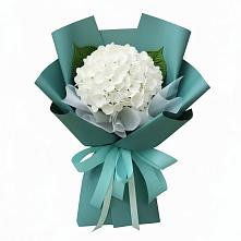 Букет цветов из:  Гортензия #REPLACE_PRED# Черноисточинске